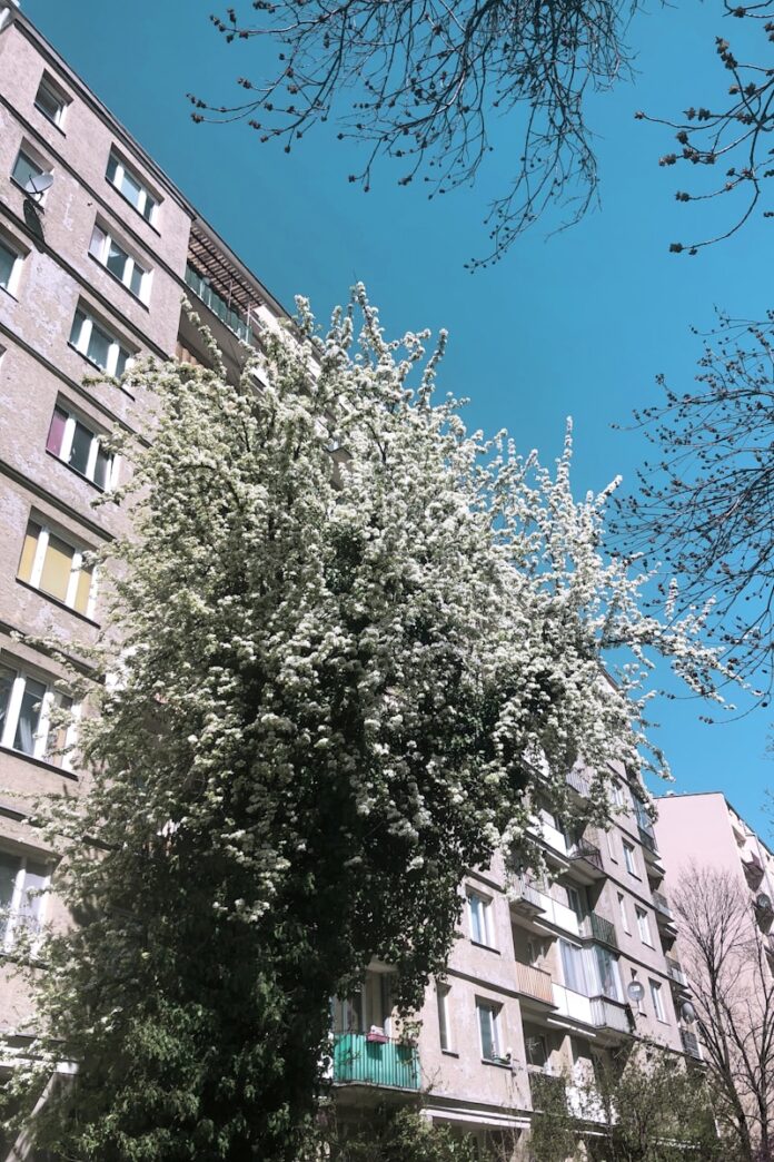 Czy technologie smart home mogą zrewolucjonizować budownictwo?